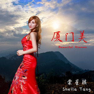 厦门美 (温金龙二胡演奏版)