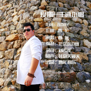 爱你一生还不够 (伴奏)