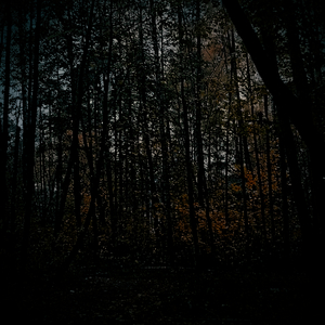 Остановите