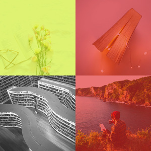 柔和的学校时刻