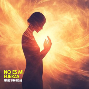 NO ES MI FUERZA