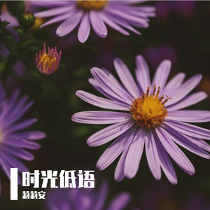浅橙微笑