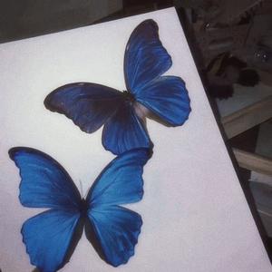 Hard to Start（片段）（翻自 015B）