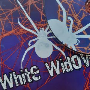 Sempre (feat. Astio)