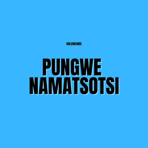 Pungwe Nematsotsi