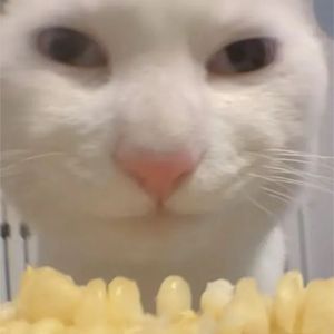 【Free】“爆冲” SASIOVERLXRD x BOBBYNOPEACE Type Beat