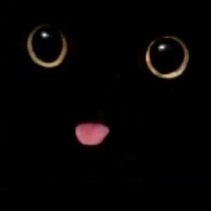 Identity fraud(prodd.kris)