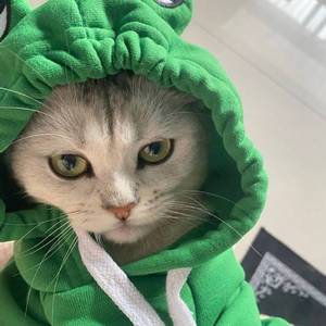 多情种cover佐佐木