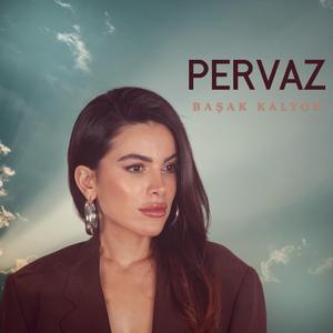 Pervaz