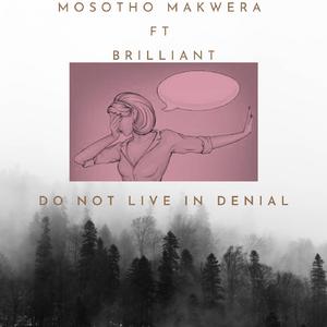 Do not live in denial (feat. Brilliant)