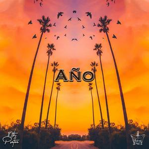 AÑO