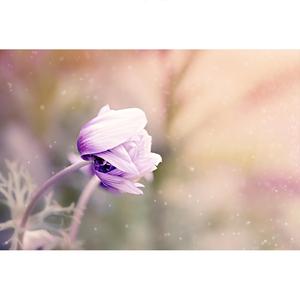 걱정마, 잘 될거야