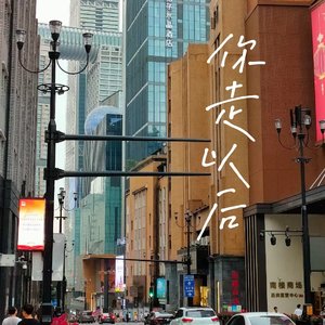 你走以后