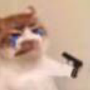 从前爱过一只小石猴