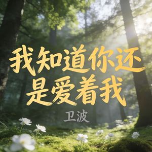 我知道你还是爱着我