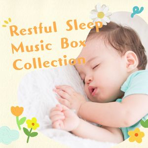 ピーターパン空の旅～リラックス音楽～ (Cover) [東京ディズニーランド/ピーターパン空の旅]