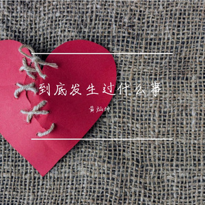 到底发生过什么事