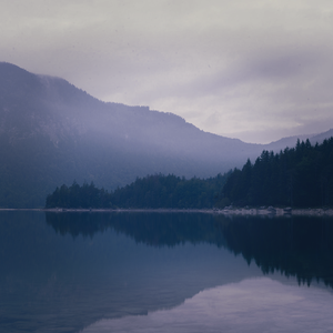 山林（Mountain forest）