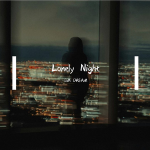 Lonely Night