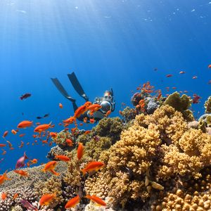 22440efe98139f4d44839c3f503f12a1(1)