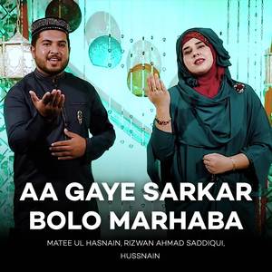 Hay Ali Sheerr E Khuda