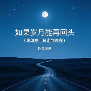 如果岁月能再回头（我单枪匹马走到现在）