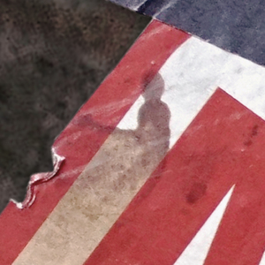 Dishwasher Experience