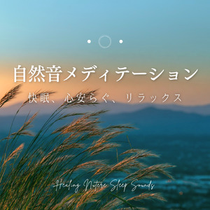 寝る前に聴きたい自然と眠くなるα波ギター 毎日の体調管理・ルーティーンに最適 (自律神経を整える睡眠用 森 鳥)
