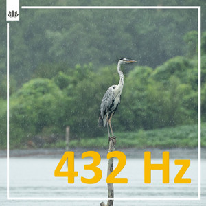 ４３２Hz瞑想 - 鳥の歌声に包まれる痛みの解放