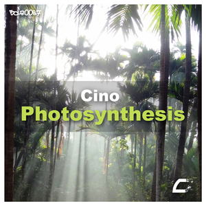 Photosynthesis (Original Mix)