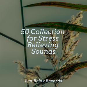 Whispers of Blooming Bliss