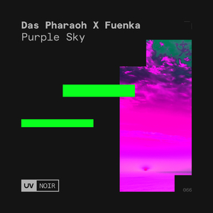 Purple Sky (Extended Mix)