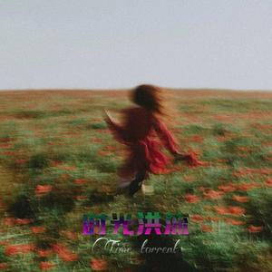 时光洪流 (抖音热播DJ版)