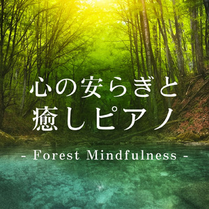 超疲労回復の睡眠ギターゆらぎ リラックス癒しBGMで不安を和らげストレス・不眠を軽減する音楽 (自律神経を整える睡眠用 森 鳥)