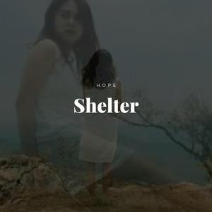 Shelter