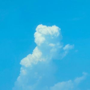 在四月的最后一天