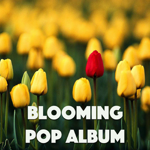 The Thorn Birds Theme