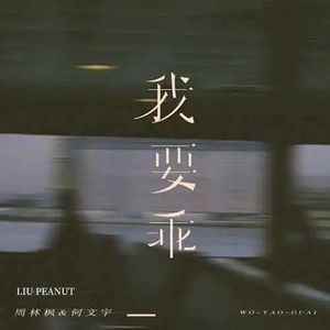 我要乖（Remix）