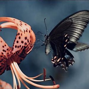 遇见即刻美丽 伴奏