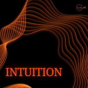 Intuition