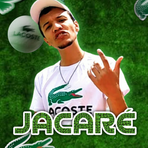 Jacaré