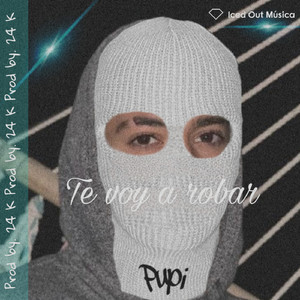 Te Voy a Robar