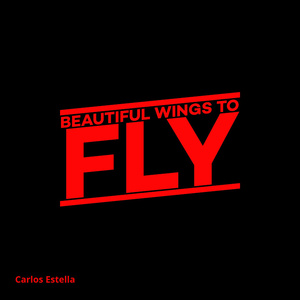 Beautiful Wings to Fly