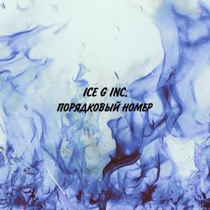 Порядковый номер