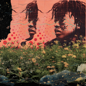 Borderlines & Bloodlines