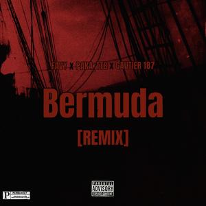 Bermuda (feat. paka_TTB & Gautier 187) (REMIX)