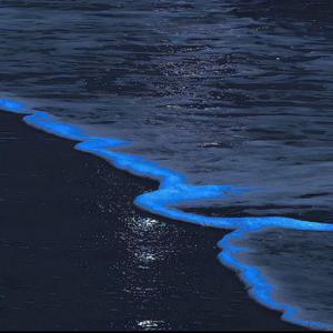 I,mfine(prod 1080PALE)