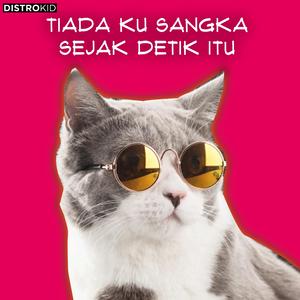 TIADA KU SANGKA SEJAK DETIK ITU (DJ Candu Banget)