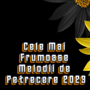 Muzică de petrecere moldovenească. Cîntăm, dansăm și ne veselim !!!