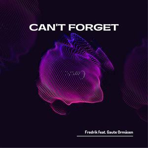 Can't Forget (feat. Gaute Ormåsen)
